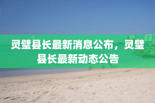 灵璧县长最新消息公布,灵璧县长最新动态公告中山市多米克自动化设备有限公司