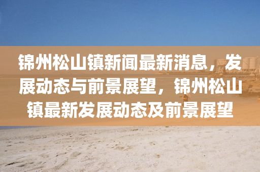 锦州松山镇新闻最新消息，发展动态与前景展望，锦州松山镇最新发展动态及前景展望中山市多米克自动化设备有限公司
