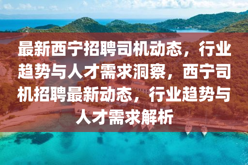最新西宁招聘司机动态，行业趋势与人才需求洞察，西宁司机招聘最新动态，行业趋势与人才需求解析中山市多米克自动化设备有限公司