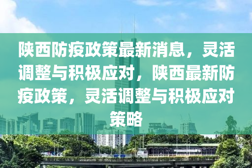 陕西防疫政策最新消息，灵活调整与积极应对，陕西最新防疫政策，灵活调整与积极应对策略中山市多米克自动化设备有限公司