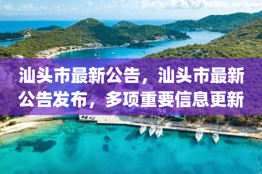 汕头市最新公告，汕中山市多米克自动化设备有限公司头市最新公告发布，多项重要信息更新