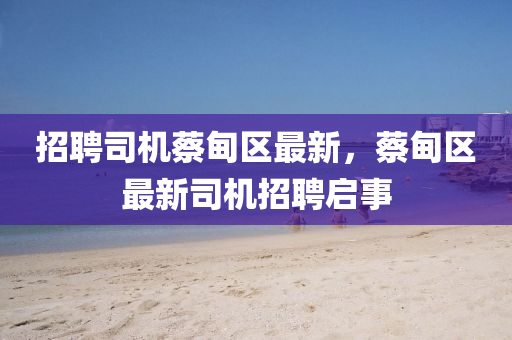 招聘司机蔡甸区最新,蔡甸区中山市多米克自动化设备有限公司最新司机招聘启事