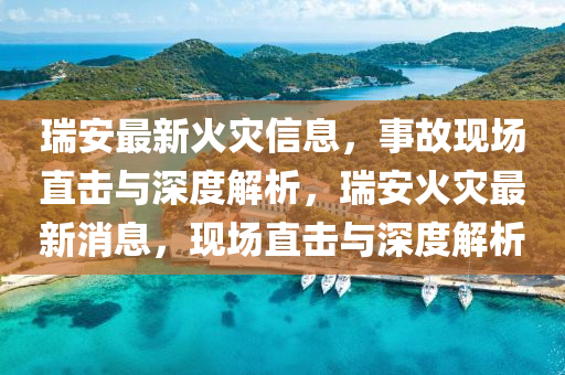 瑞安最新火灾信息，事故现场直击与深度解析，瑞安火灾最新消息，现场直击与深度解析中山市多米克自动化设备有限公司