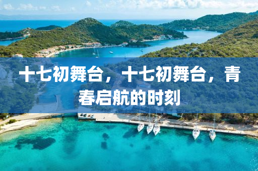 十七初舞台,十七初舞台,青春启航的时刻中山市多米克自动化设备有限公司